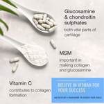 Glucosamine & Chondroitin MSM Complex - Joint & Anti inflammatory Support