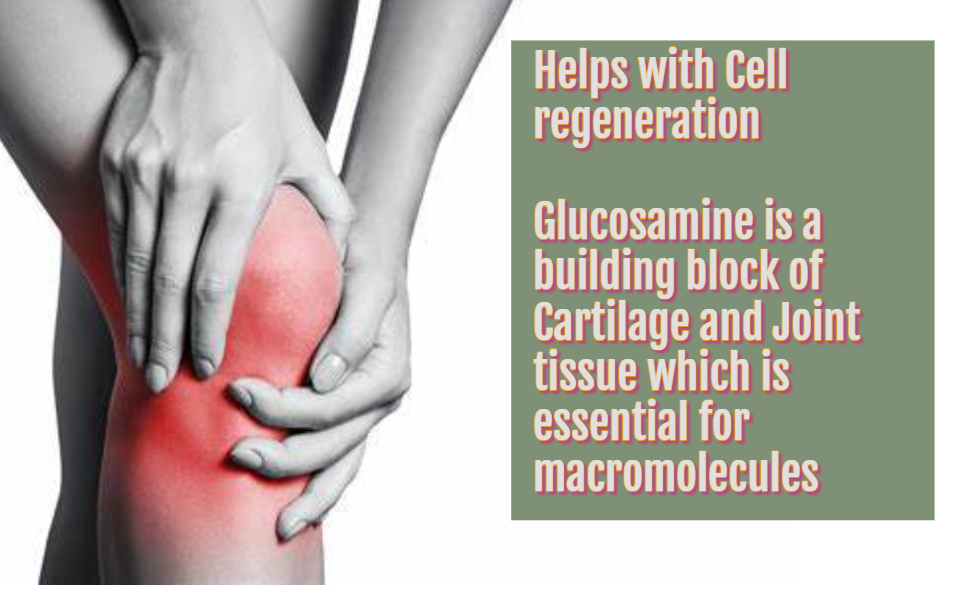 Glucosamine & Chondroitin MSM Complex - Joint & Anti inflammatory Support