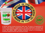 Pure Lions Mane Mushroom Extract 1000mg